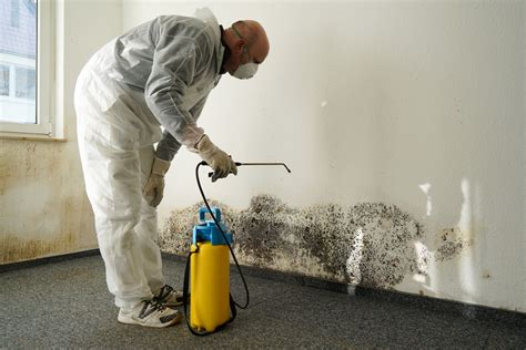 is painting over mold safe? exploring the risks and benefits